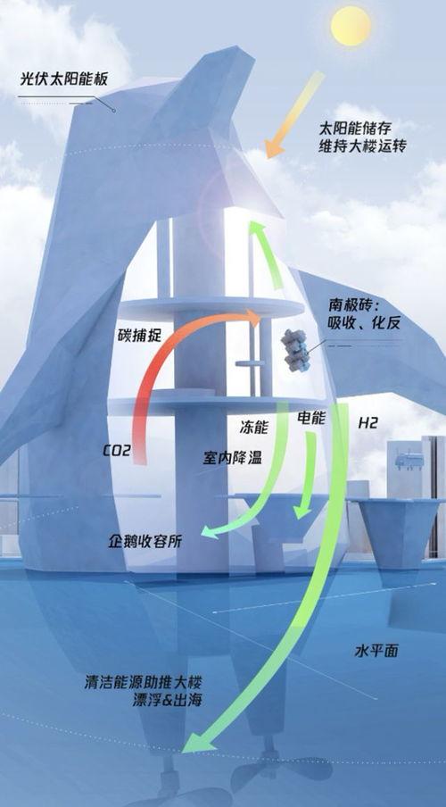 南极最新爆料视频播放,揭秘神秘冰原下的奇异世界